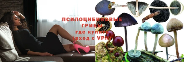 бутират Кукмор