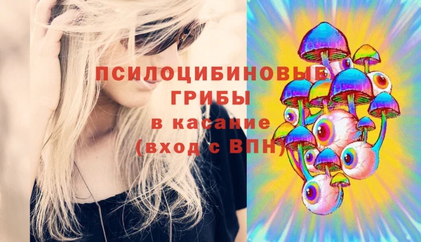 МДПВ Кулебаки