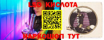 прущие грибы Заводоуковск