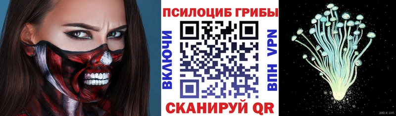Псилоцибиновые грибы Psilocybe  Назарово 